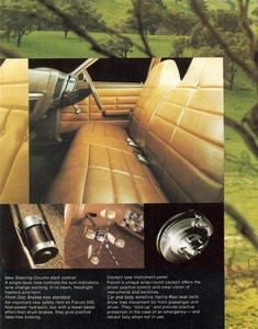 1974 Ford Falcon-09.jpg